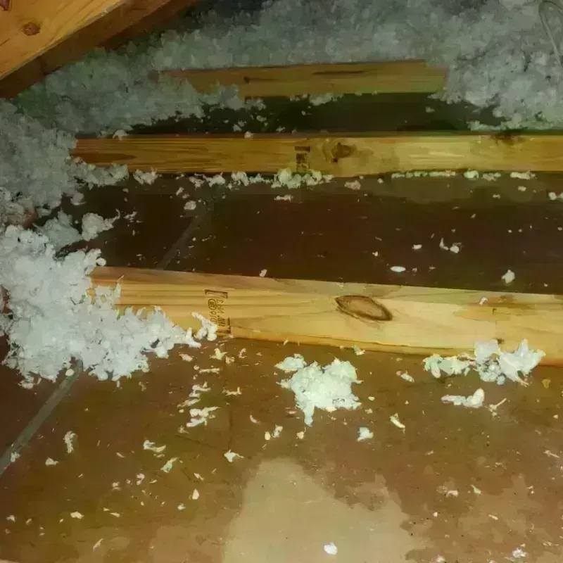 Attic Water Damage in Mesquite, NM