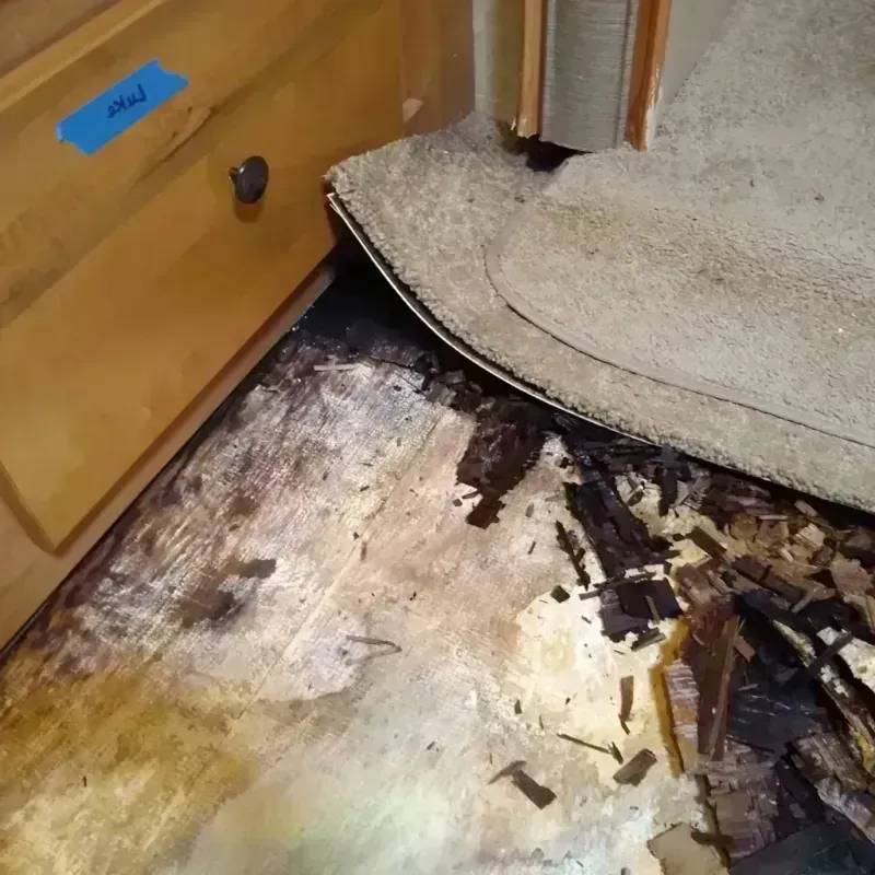 Wood Floor Water Damage in Mesquite, NM